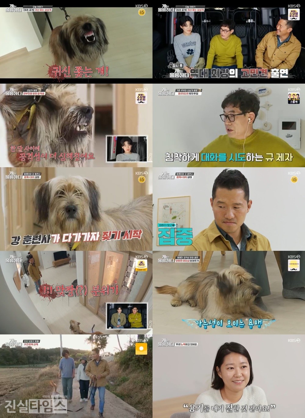 이경규, 장도연, 강형욱 [KBS 2TV ‘개는 훌륭하다’ 캡처 재판매 및 DB 금지]