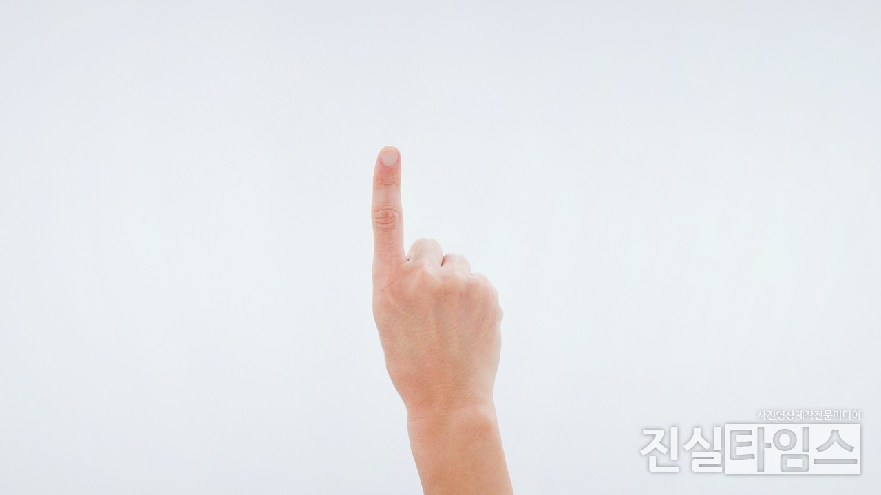 MBN 신규 음악 예능 프로그램 ‘더 콘서트 원픽’ [MBN 제공 재판매 및 DB 금지]