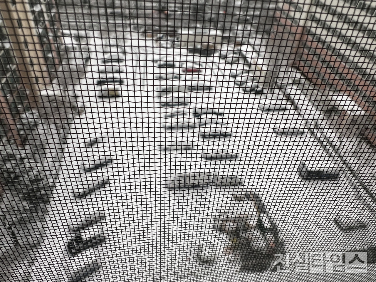 서울 대설주의보 3~8㎝ 많은 눈 (서울=뉴시스) 이윤영 기자 = 오늘(5일) 중부지방을 중심으로 많은 눈이 예상된 가운데 서울에 대설주의보가 내려졌다. 기상청은 이 날, 오전 07시 30분 부로 동남권을 제외한 서울 일부 지역(동북권, 서남권, 서북권)에 대설주의보를 발효됐다. 2025.1.5. jinsiltimesdesk@jinsiltimes.org